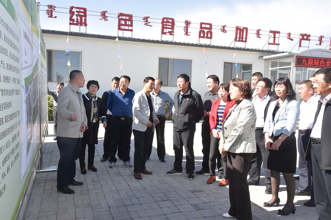 鄂尔多斯市杭锦旗人大来我区学习考察
